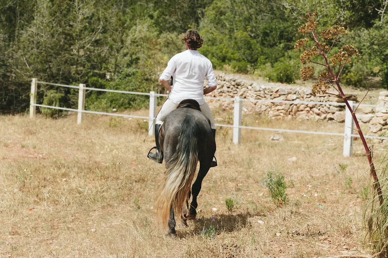 The Finca Ibiza Pension Santa Gertrudis  Spanje