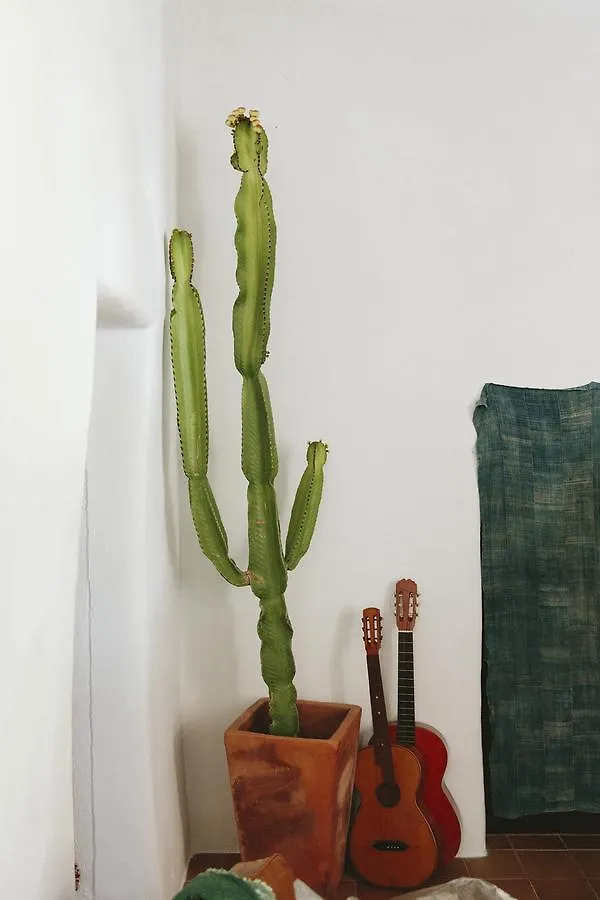 The Finca Ibiza Guest House Santa Gertrudis