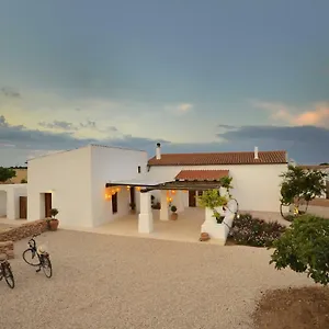 Vicent Puig Villa