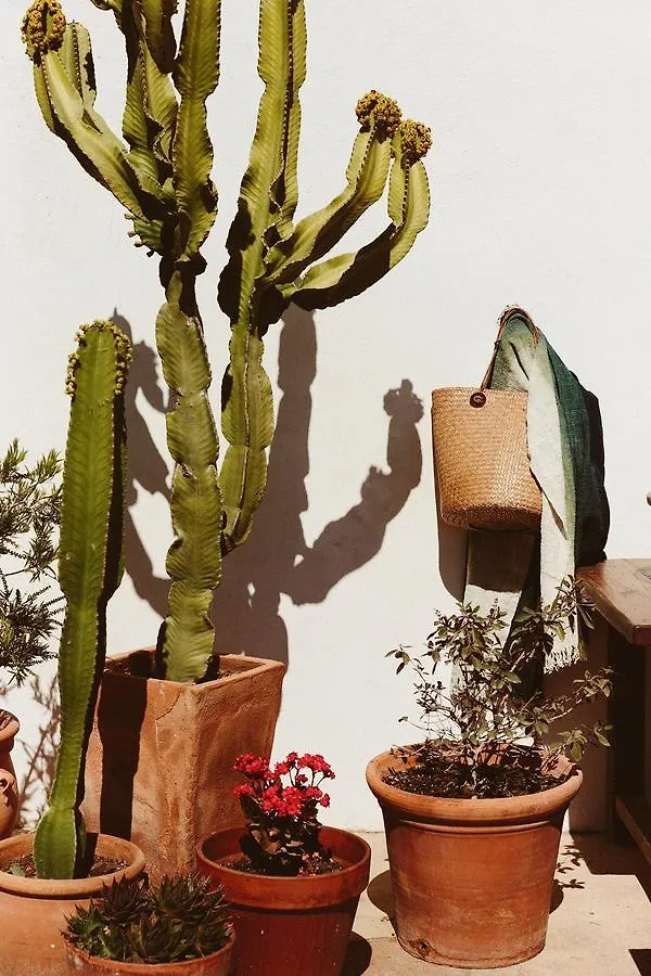 The Finca Ibiza Guest House Santa Gertrudis  0*, Santa Gertrudis (Ibiza) Spain