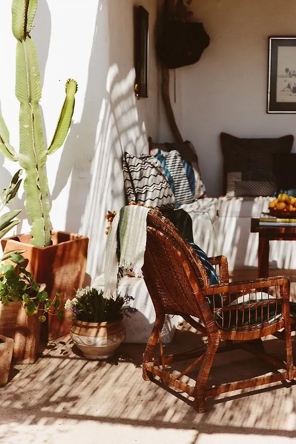 Casa rural The Finca Ibiza Hostal Santa Gertrudis