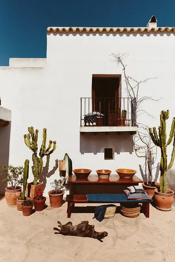 The Finca Ibiza Guest House Santa Gertrudis  0*, Santa Gertrudis (Ibiza)
